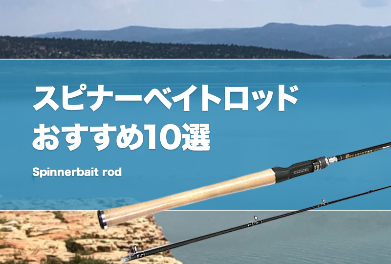 スピナーベイト収納】ボート釣行用に購入したスピナベケース！！