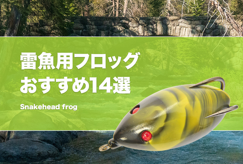 雷魚用フロッグおすすめ14選！人気で釣れるライギョフロッグはどれ？チューニングやカスタムも紹介！ | タックルノート