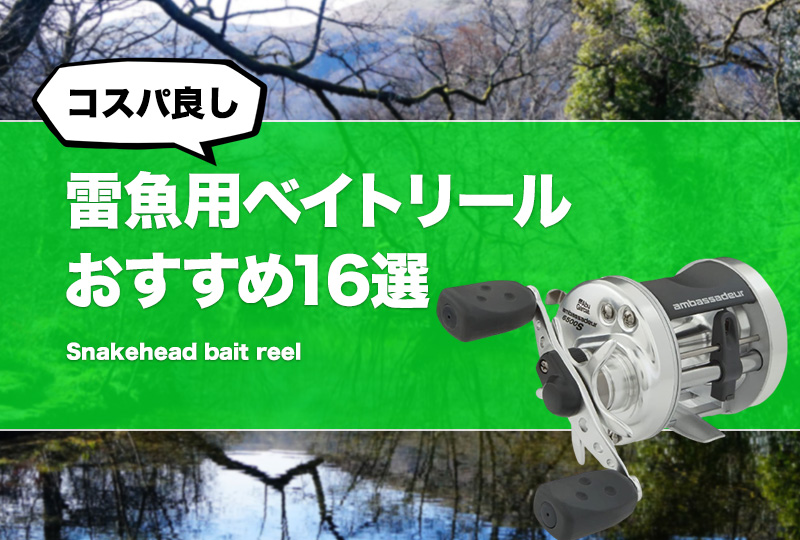 コスパ良し！雷魚ベイトリールおすすめ16選！安いけど人気な雷魚釣りリールは？ | タックルノート