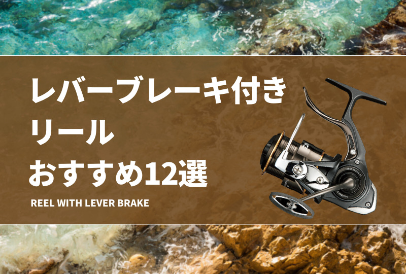 ダイワ(DAIWA) スピニングリール(レバーブレーキ) 19 ラグザス 淋しい 3000H-LBD (2019モデル)