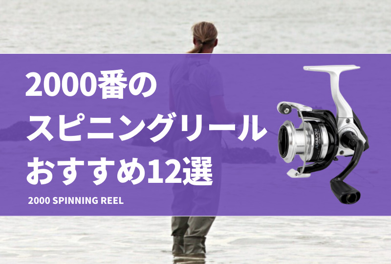 2000番のスピニングリールおすすめ12選！シマノやダイワのコスパの良い安い機種も紹介！ | タックルノート