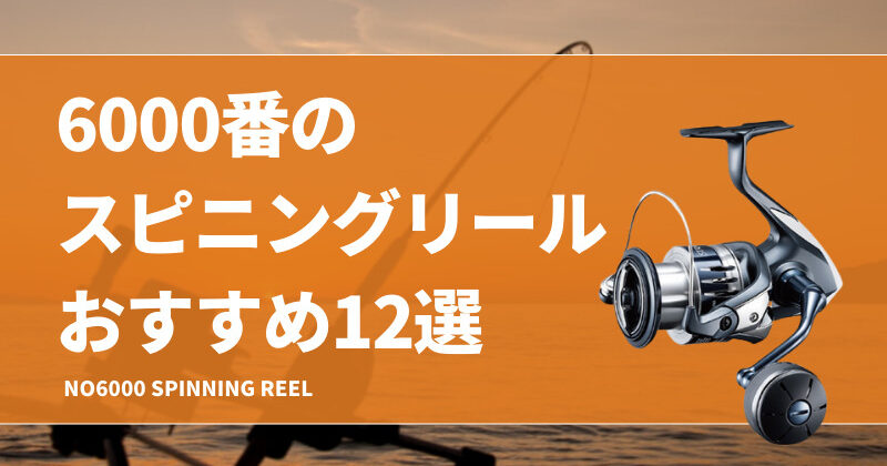 6000番のスピニングリールおすすめ12選！用途や対象魚を紹介！シマノやダイワの安い機種もあり！ | タックルノート