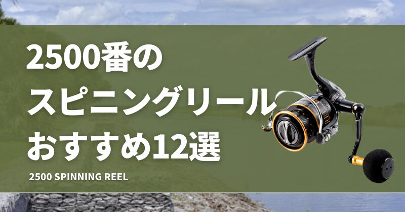 2500番のスピニングリールおすすめ12選！シマノやダイワのコスパの良い