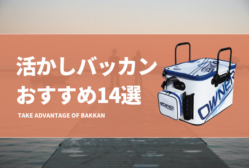 活かしバッカンおすすめ14選！アジやイカ釣りで魚を鮮度良く保つコツは？ | タックルノート