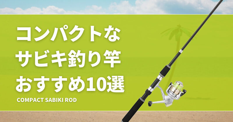 コンパクトなサビキ釣り竿おすすめ10選！携帯性に優れた持ち運びやすいロッドを紹介！ | タックルノート