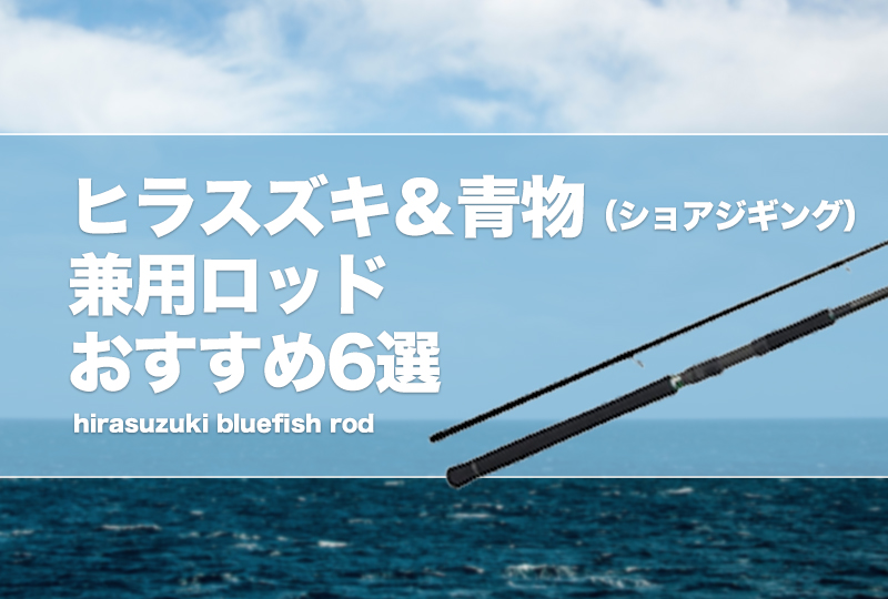 ヒラスズキ＆青物（ショアジギング）兼用ロッドおすすめ6選！違いは何