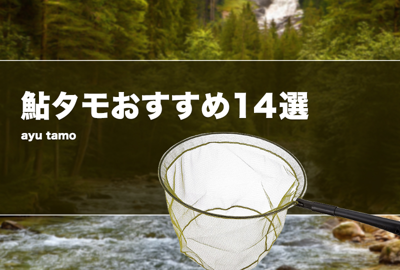 鮎タモおすすめ14選！選び方を紹介！激安タモや替網も！ タックルノート