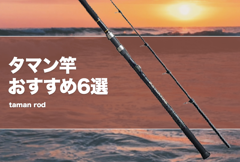 タマン竿おすすめ8選！コスパ最強の安いロッドも！ | タックルノート