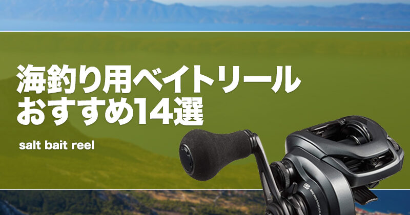 海釣り用ベイトリールおすすめ14選！ソルト（海水）対応の人気リールを厳選！ | タックルノート