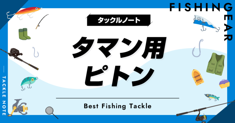 タマン用ピトンおすすめ6選！セット品や自作についても！ | タックルノート